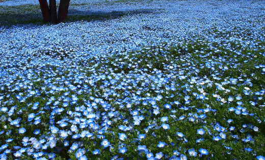 726392 (a): :1920x1155